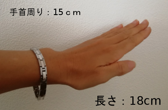 手首周り15cm 長さ18cm