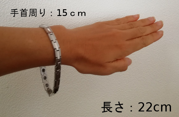 手首周り15cm 長さ22cm